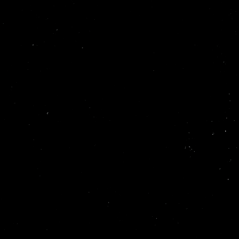 Cerisier en Pleurs 003